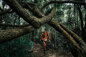 BIB: 
                            <button type="button" onclick="openModal(25664341)" class="btn btn-primary btn-sm float-right btn-popup" data-toggle="modal" data-target=".modal-high-quality">
                        <i class="fas fa-shopping-cart"></i> Add to Cart
                    </button>
                                            <button type="button" onclick="isThisMe(25664341, true)" class="btn btn-success btn-sm float-right btn-popup btn-isme hidden" data-toggle="tooltip" data-placement="bottom" title="นี่คือรูปของคุณใช่ไหม คลิกที่นี่เพื่อเอาเข้าอัลบั้ม">
                        <i class="fas fa-plus"></i> Add to album
                    </button>
                    <button type="button" onclick="isThisMe(25664341, false)" class="btn btn-warning btn-sm float-right btn-popup btn-isnotme hidden">
                        <i class="fas fa-ban"></i> Remove from album
                    </button>